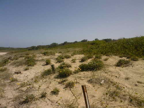 foto0077 foto0077