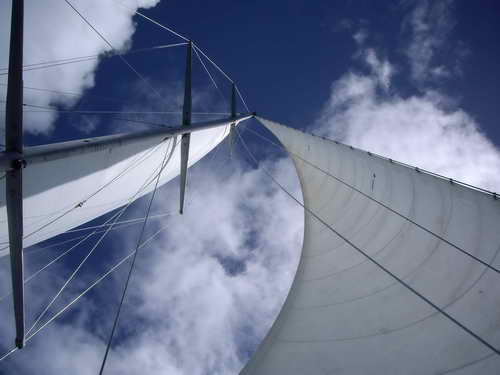 sail-the-card-whitsundays sail-the-card-whitsundays