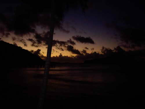 sunshine-south-molle-island-whitsundays sunshine-south-molle-island-whitsundays