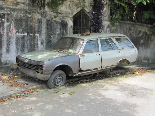 Jan_10-Rio_De_Janeiro-290