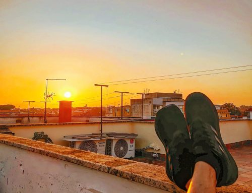Roof sunset mood 😎🤙#sabaudia #italy #Italia #sunnyday #sunset #sunglare #skyview #sky #skyscape #sun #skyline #skylovers #rooftop #roof #skyphotography #sunny
