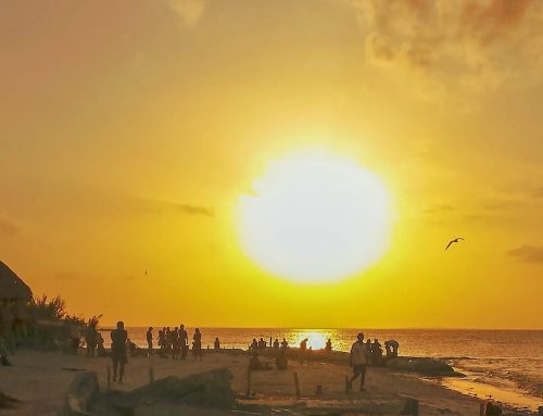 Caribbean vibes 🤙Isla Holbox, Mexico 2015#holbox #mexico #beach #travelphotography #travel #traveler #sun #sunny #beachvibes #travelgram #sealife #traveling #nature #beachlife #seaside #naturephotography #sunset #tbt