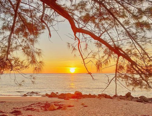 Caribbean vibes 🤙Bimini, Bahamas 2019 #bimini #bahamas #caribbean #seaside #beachlife #travelgram #beachday #travelphotography #naturegram #sun #traveling #beachvibes #intags #travel #nature #beach #sea #naturephotography #sunset