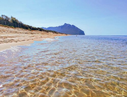 Pure morning vibes #sabaudia #italy #Italia #circeo #mare #beach #beachlife #beachvibes #eleutheromania #sand #sea #travel #travelgram #reflection #spiaggia #august