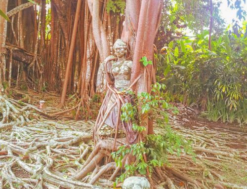 Recalling the balinease vibes Ubud, Bali 2013#ubud #museum #tree #backpacker #naturephotography #travelgram #indonesia #naturephoto #asia #travel #bali #nature #intags #travelling #indonesia #tbt #roots #southeastasia